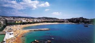 Image Image